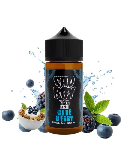 Blueberry Nola - Sadboy 120ml