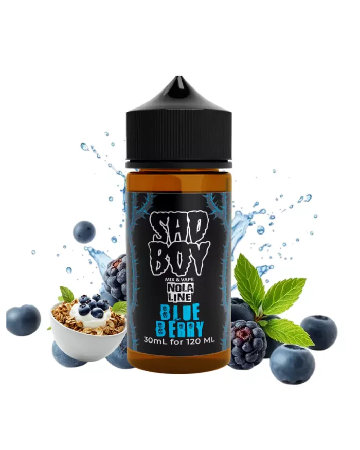 Blueberry Nola - Sadboy 120ml
