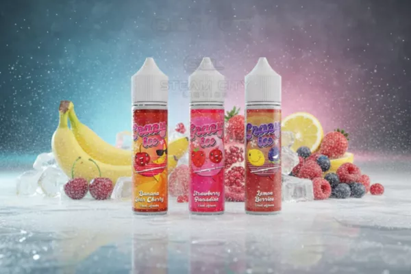 Steam Sity Crazy Ice e-liquids